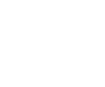 Professional Project Management